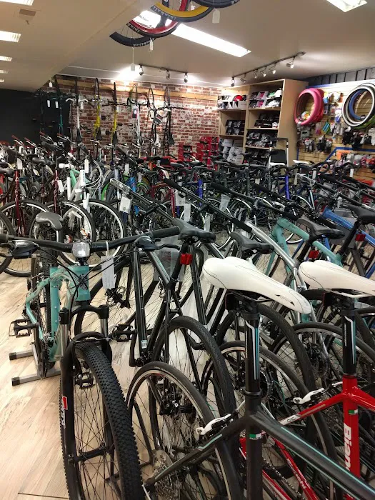 Denver Bicycle Picture 4
