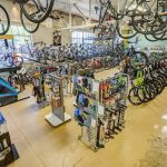 Campus Cycles