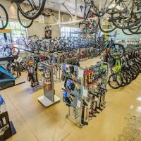 Campus Cycles ico
