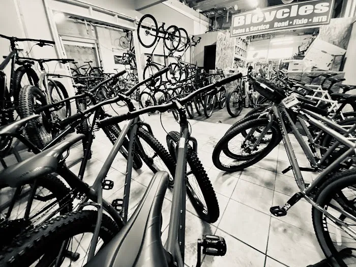 303 Bike Shop - eBike Dealer Too Picture 3