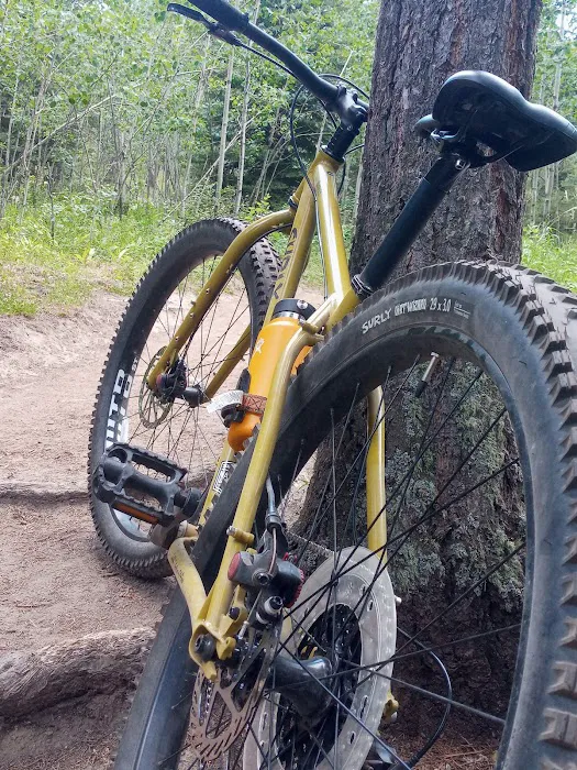 303 Bike Shop - eBike Dealer Too Picture 5