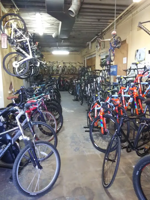 303 Bike Shop - eBike Dealer Too Picture 7