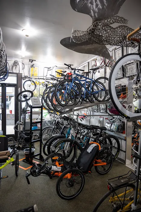 Any And All Bikes No 1 Picture 5