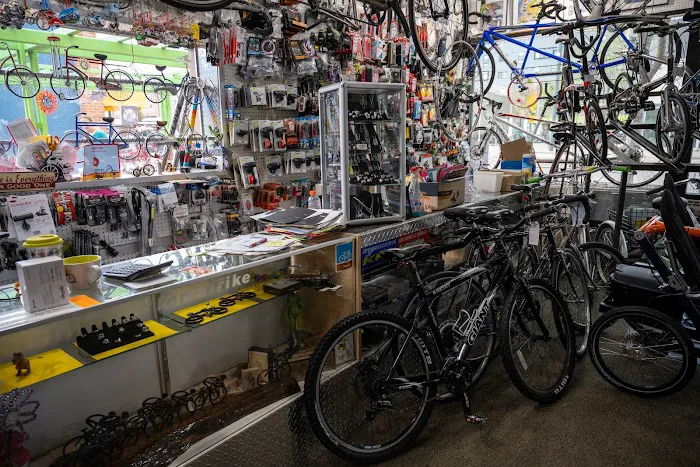Any And All Bikes No 1 Picture 7
