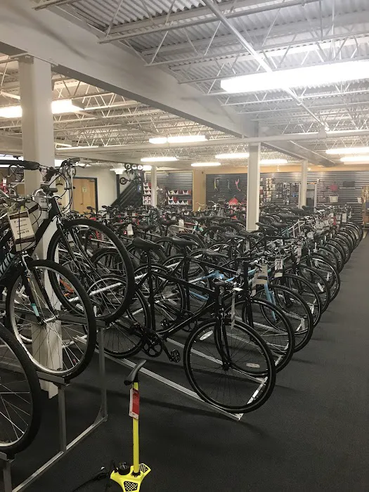 Bikesource University Hills Picture 5