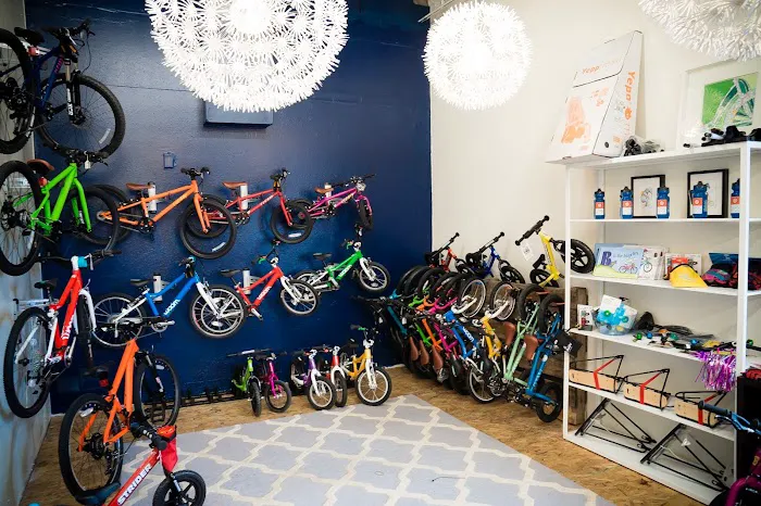 Bike Shop Girl - Cargo Bike Sales & Service Picture 8