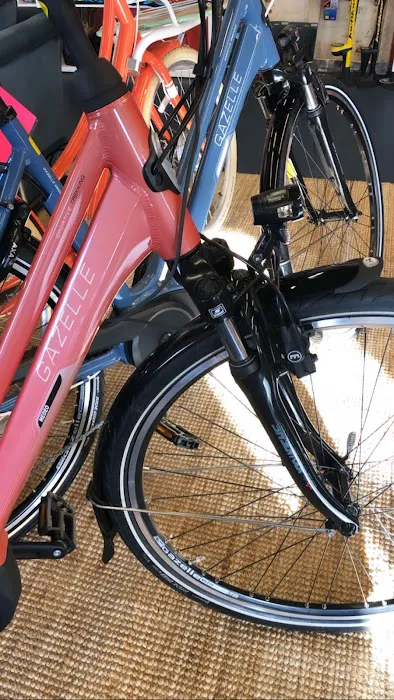 Bike Shop Girl - Cargo Bike Sales & Service Picture 7