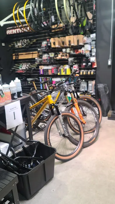 Hood Wrench Cycles Picture 5