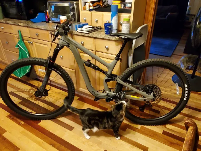 pedal Picture 1
