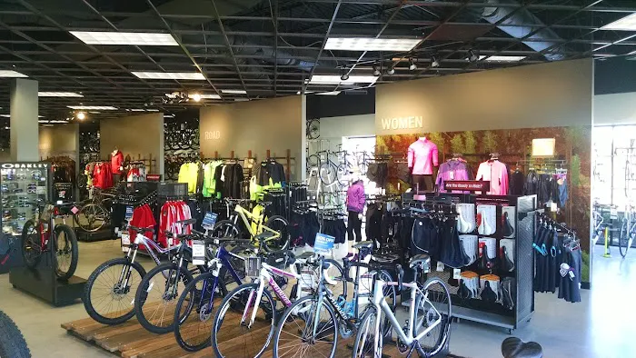 Bikesource Littleton Picture 4