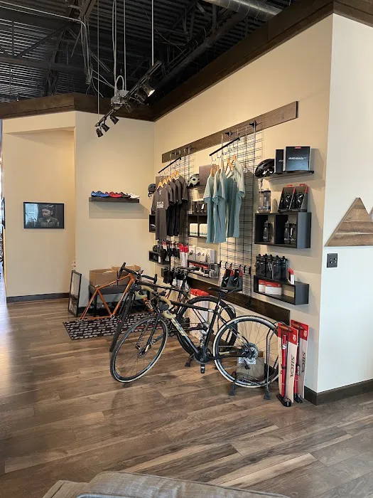 Alpha Bicycle Studio Picture 8