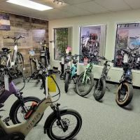 Blue Mountain E-Bikes ico