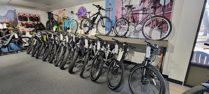 Blue Mountain E-Bikes Picture 10