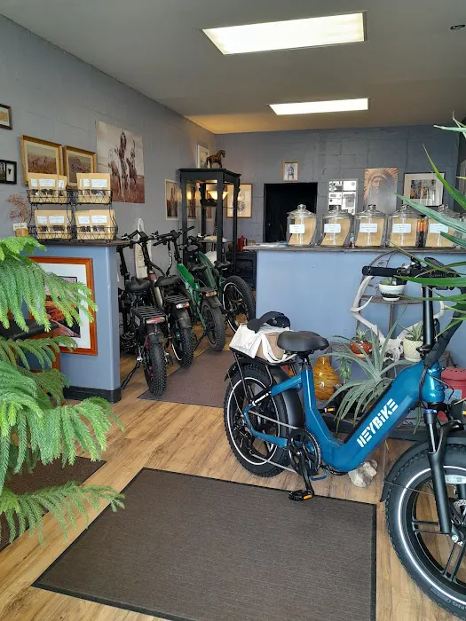 Ebike Mike's Picture 7