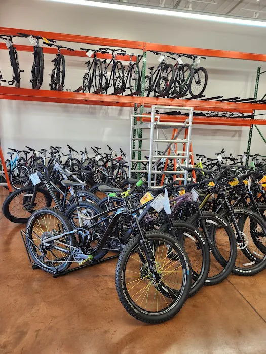 Blue Spruce Cyclery of Aurora Picture 6