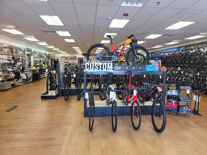 Trek Bicycle Highlands Ranch Picture 2