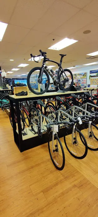 Trek Bicycle Highlands Ranch Picture 6