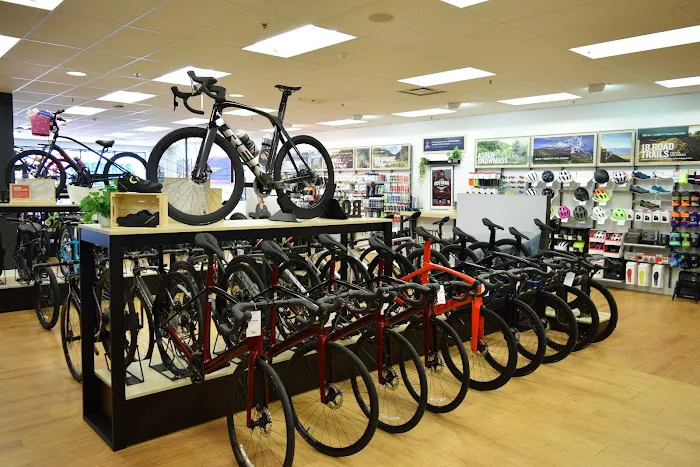 Trek Bicycle Highlands Ranch Picture 10
