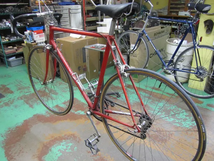 Golden Velo Picture 3