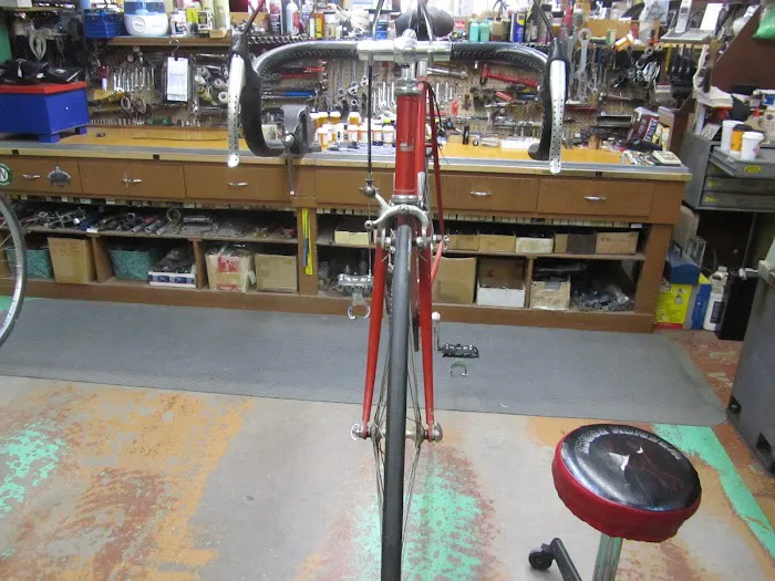 Golden Velo Picture 5