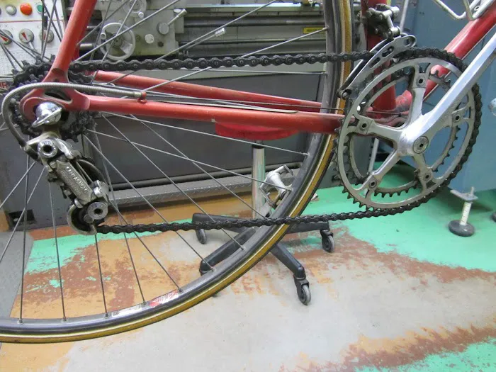 Golden Velo Picture 8
