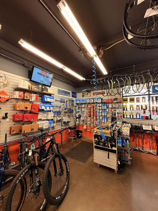 Golden Bike Shop Picture 3