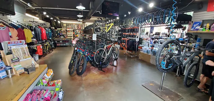 Golden Bike Shop Picture 2