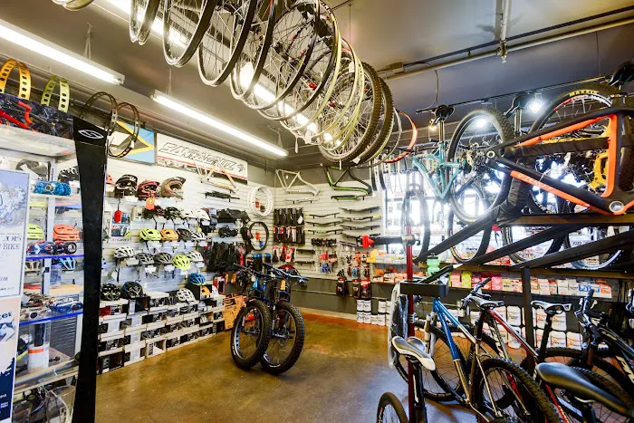 Golden Bike Shop Picture 4