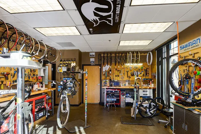 Golden Bike Shop Picture 7
