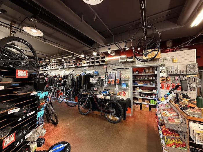 Golden Bike Shop Picture 5
