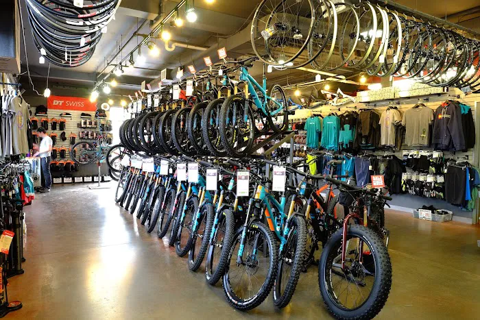 Golden Bike Shop Picture 9