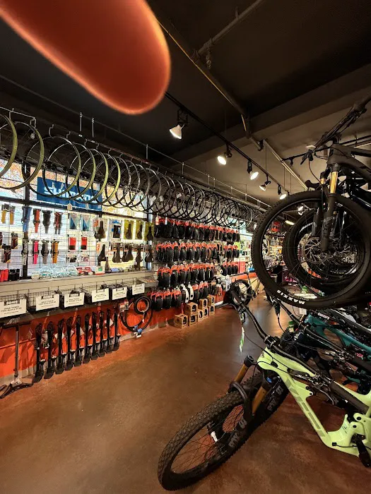 Golden Bike Shop Picture 8