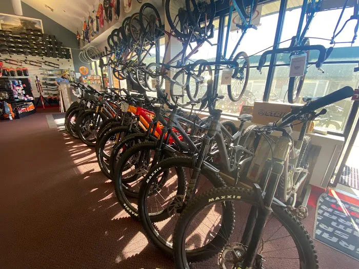 Pedal Pushers Cyclery Picture 4
