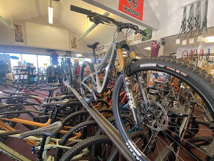 Pedal Pushers Cyclery Picture 8