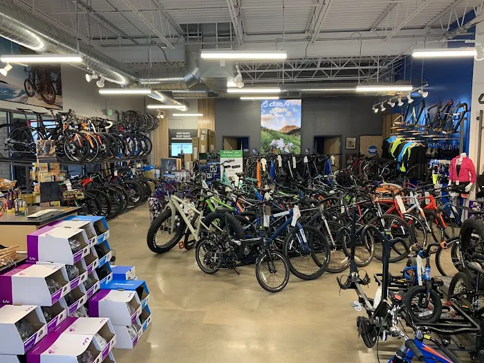 Blue Spruce Cyclery of Centennial (formerly Giant of Centennial) Picture 3