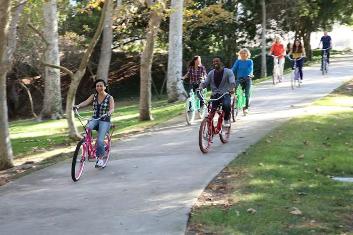 Pedego Electric Bikes Southlands Picture 3