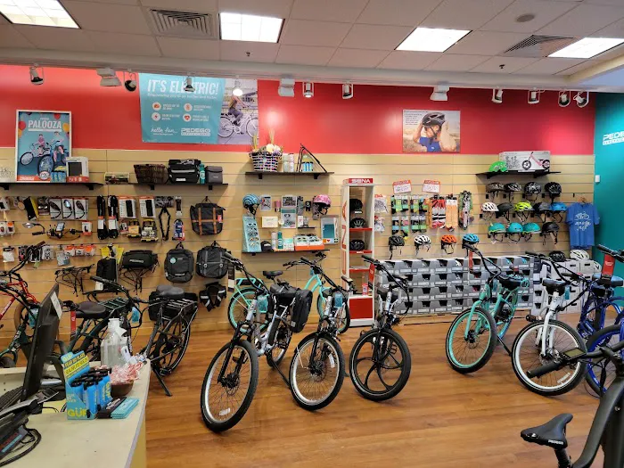 Pedego Electric Bikes Southlands Picture 2