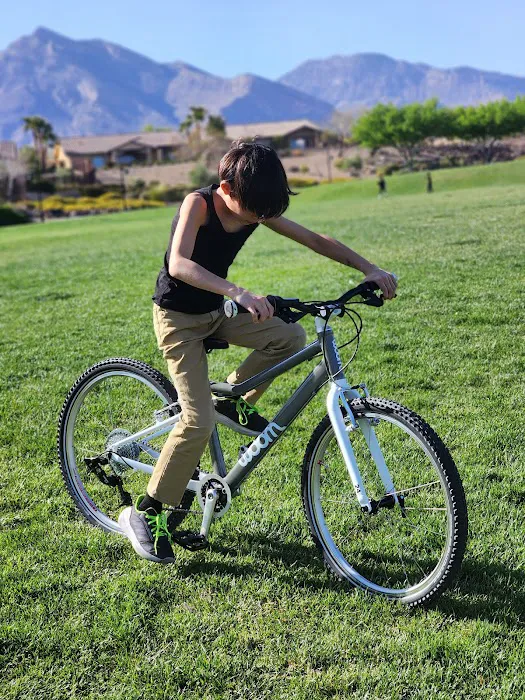 Ready, Set, Pedal! Picture 5