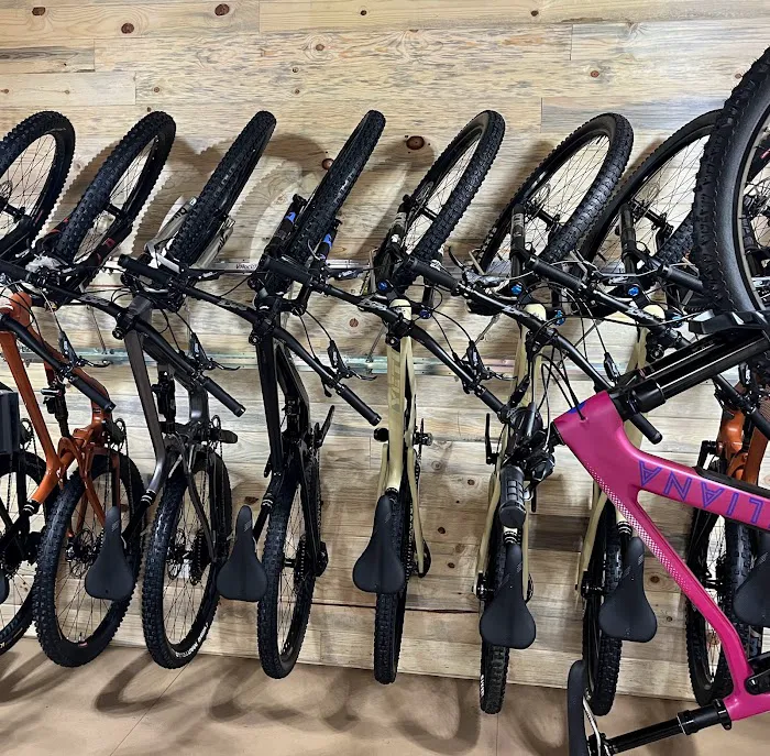 Rebound Bikes Picture 1