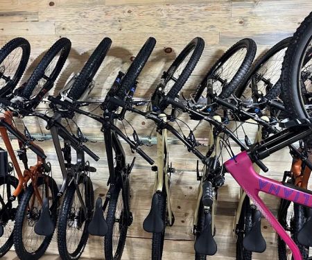 Rebound Bikes
