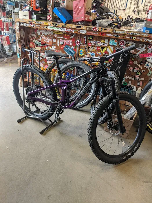 Evergreen Bicycle Outfitters Picture 3