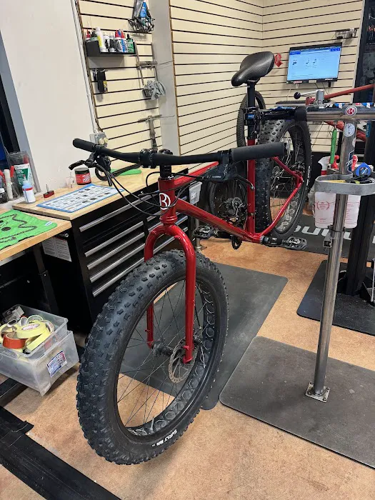 Evergreen Bicycle Outfitters Picture 6