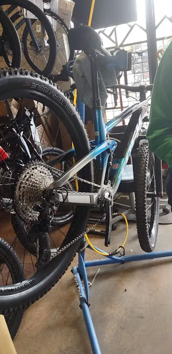 Evergreen Bicycle Outfitters Picture 4