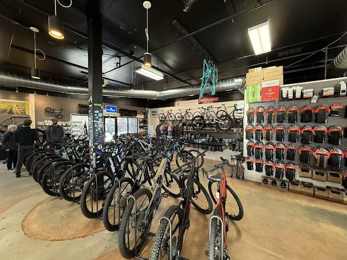Evergreen Bicycle Outfitters Picture 8