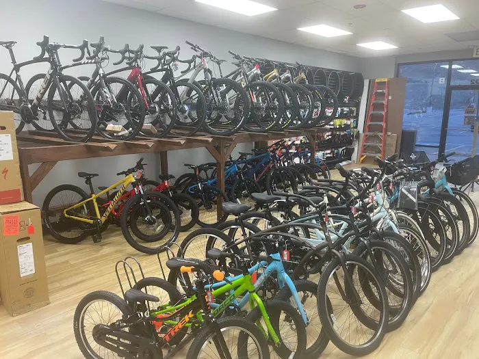 Base Camp Cyclery Picture 3