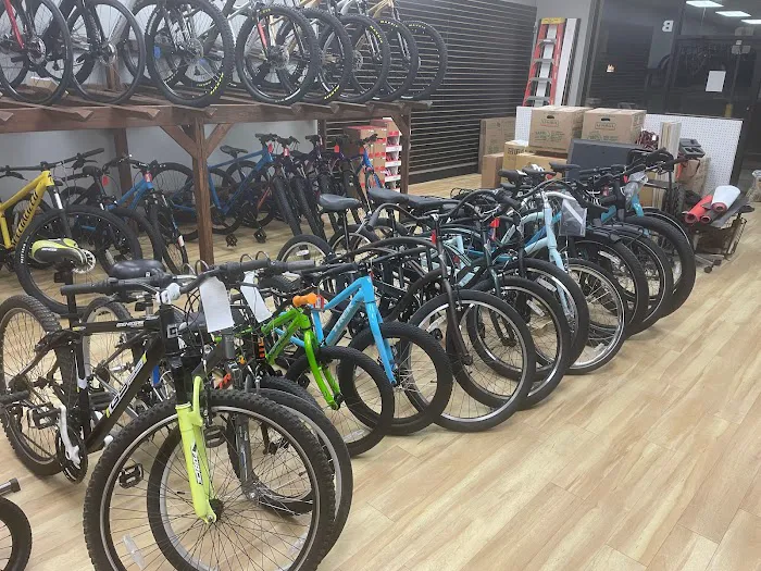 Base Camp Cyclery Picture 6