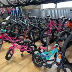 Evergreen Bike Shop