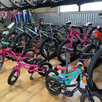 Evergreen Bike Shop ico