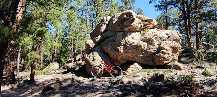 Evergreen Bike Shop Picture 8