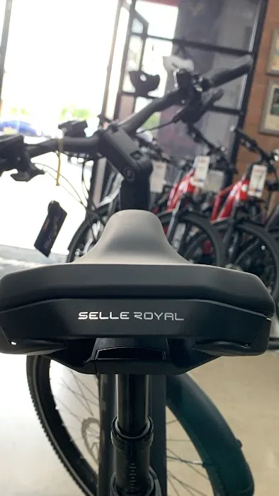Global Bikes & E-Bikes Picture 8